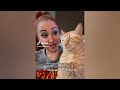 CLASSIC Dog and Cat Videos😜🐶1 HOURS of FUNNY Clips🤑😻