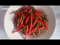 I Harvested Chili's on a Pot at the Rooftop.