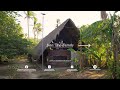 This Man Built A House On A Remote Island To Live With Nature And Animals | Palawan, Philippines