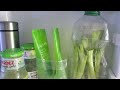 4 EASY DIY ZERO WASTE ORGANIZERS | UPCYCLING | FREE ORGANIZERS | REFRIGERATOR ORGANIZERS | HOT DRINK