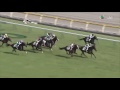 2017 Tokyo Yushun (Japanese Derby) International Group 1 2400m