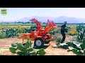 How American Farmers Grow and Harvest Prickly Pear Cactus Using Agricultural Technology.#5.