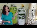 THE TRUTH REVEALED BEHIND SEED PACKETS! Indoor Gardening for Beginners