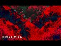 JUNGLE MIX 6