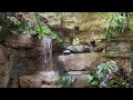 Relaxing Waterfall for Relief Stress, Anxiety and Depression, Deep Sleeping /Subscribe