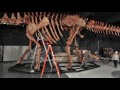 How to Build a Titanosaur