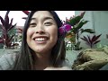 HAWAII PART IV: WE GOT ENGAGED! | VLOG 22