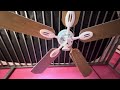 42” Hampton Bay Glendale ceiling fan