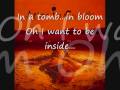 Alice in Chains- Down in a Hole (with lyrics)