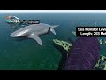 3D Sea Monsters Size Comparison || Animals Size Comparison || BLOOP Vs EL GRAN MAJA Vs SCP 169