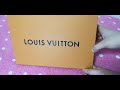 Louis Vuitton Pochette Accessoires Unboxing and Review