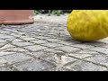 Lemon falling.