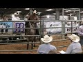 Quarter Horse Sale - 2020 HPRBA Ranch Horse Sale & Futurity