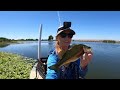 Kayak Fishing The California Delta For Feisty Bass (Corgi Gone Fishing 🐶)