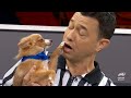 Adorable Highlights from Past Puppy Bowls! | Animal Planet