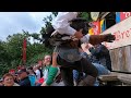 Rescuing bird that fell in the public | Puy du Fou show #shorts