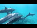 Hawaii 4K - Scenic Relaxation Film With Calming Music