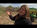 Planting Onions & A Load of BIG Trees! 🧅🙌🌲 // Garden Answer