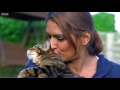 Why Do Cats Miaow? | Cats Uncovered | BBC