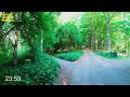 Virtual Run Through Forest | Evening Run