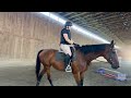 Restarting an OTTB | 6 yo London starts to find relaxation in our lesson