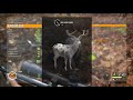 theHunter  Call of the Wild Diamond Piebald Blacktail