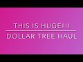 HUGE Dollar Tree Haul | Name Brand | New Items | November 2020