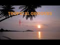 Tropical Grooves | Rhythms of a Sunlit Paradise