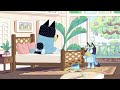 Spelen met Bluey en Bingo 💙 | Tekenfilm voor Kinder | Bluey - Officieel Nederlands kanaal