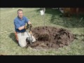 Trade Secrets from the Tree Doctor - How to Plant a Tree to Grow Twice as Fast!