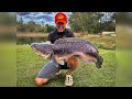 Huli kong Dalag Kinain ng Toman | Live Bait | Toman Fishing | 7.5kg Giant Snakehead