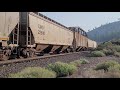 Eastbound UP empty grain train. August 9, 2021. Verdi, Nevada