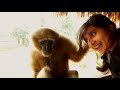 Adorable Ape Shares A Fascinating Relationship With Humans  | Wild India