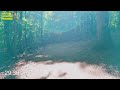 Treadmill Forest Walking Video | Virtual Walk Workout