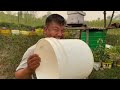 HIMGIRI PERMACULTURE FARM VISIT | PERMACULTURE FARMING | ORGANIC FARMING | ORGANIC VEGETABLES.