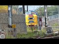 Deltic 55009 'Alycidon' - 