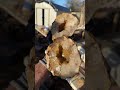 Geode Cutting LIVE with The Crystal Collector