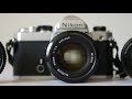 Beautiful Blurry Background Beast! The Nikon AI 50mm f1.4.