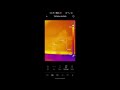 Topdon TCView TC001: The FLIR One Slayer? Affordable Thermal Imaging Showdown!