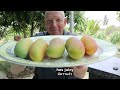 Thailand Mango | Your guide: Names, Varieties, Best - 2 Michelin Star | I Chef Richard #thailand