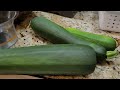 What to do with giant zucchini?