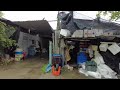 ABANDONED RUIN FISH FARM IN SINGAPORE : ASMR Rain Walking Tour LIM CHU KANG ULU Singapore 廃墟