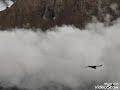 EL VALLE DE COLCA/ EL VUELO DE LOS CÓNDORES.