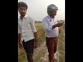 Performance of Indian wheat varieties in Rupendehi, Debanbakaspur..