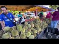 VIRAL!!! PULUT DURIAN ROBINA, DURIAN MELAMBAK RM20, TELUK AIR TAWAR, BUTTERWORTH, DURIAN BALIK PULAU