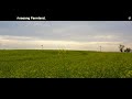 봄의 향연.안성 팜랜드 드론영상.Spring in Anseong Farmland.