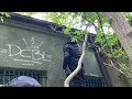 Graffiti bombing#10 Tags with friends and posts