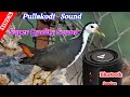 Pullakodi Sound // New 2022 Super Quality Sound // 100% Wark