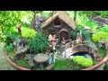 All About Fairy Gardens with Dave Forehand