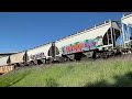 BNSF Manifest Freight Train | Bay Area, CA